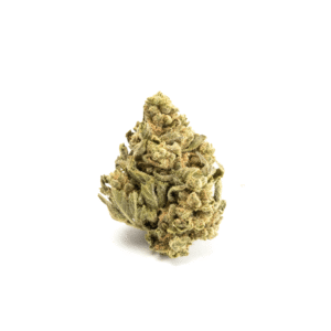Alternative view of Green House - Purple Punch