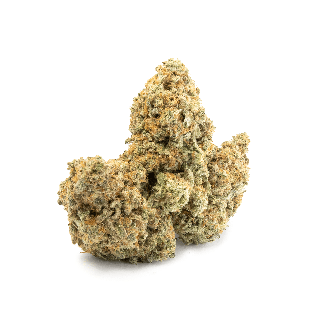 Alien Cookies - Image 3