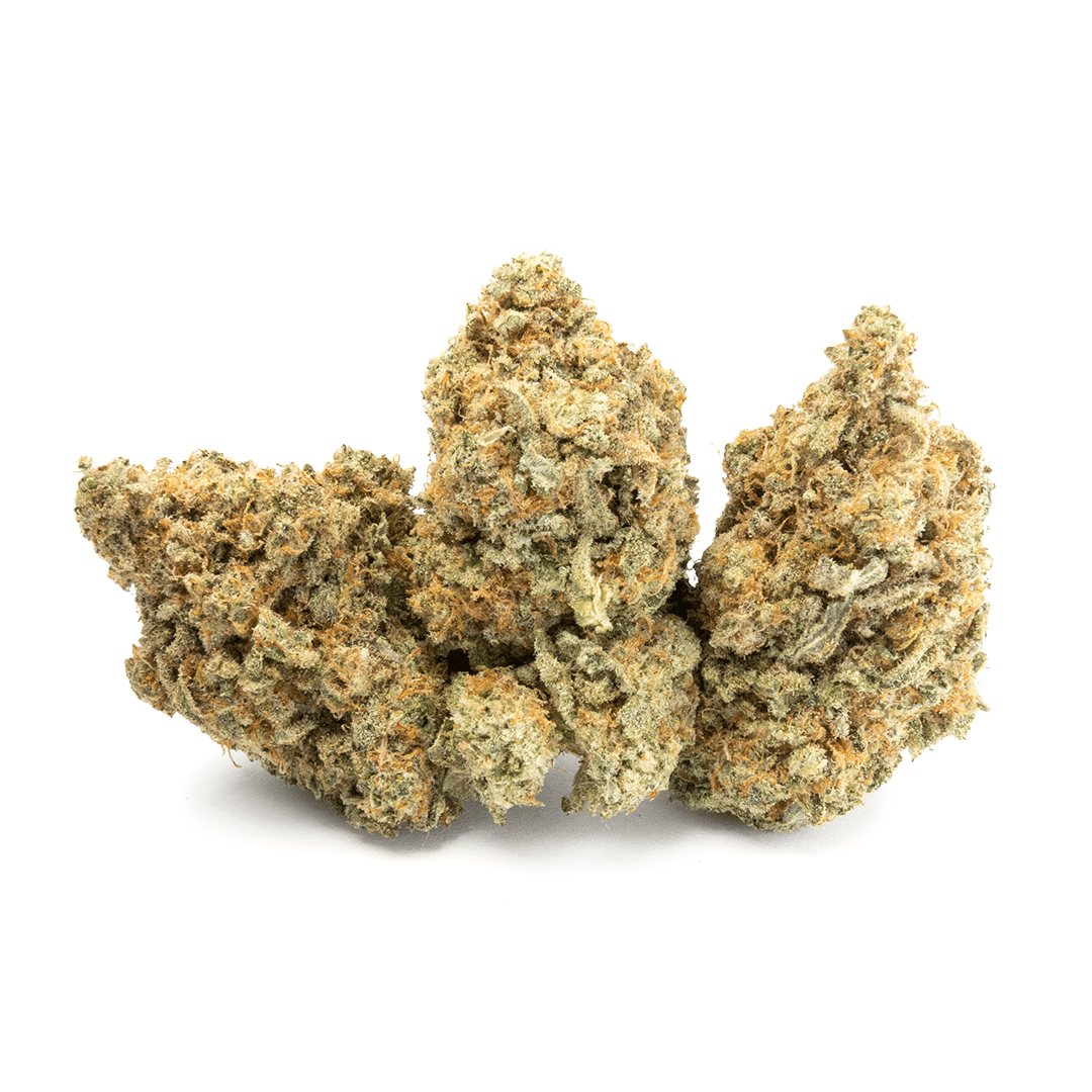 Alien Cookies - Image 5