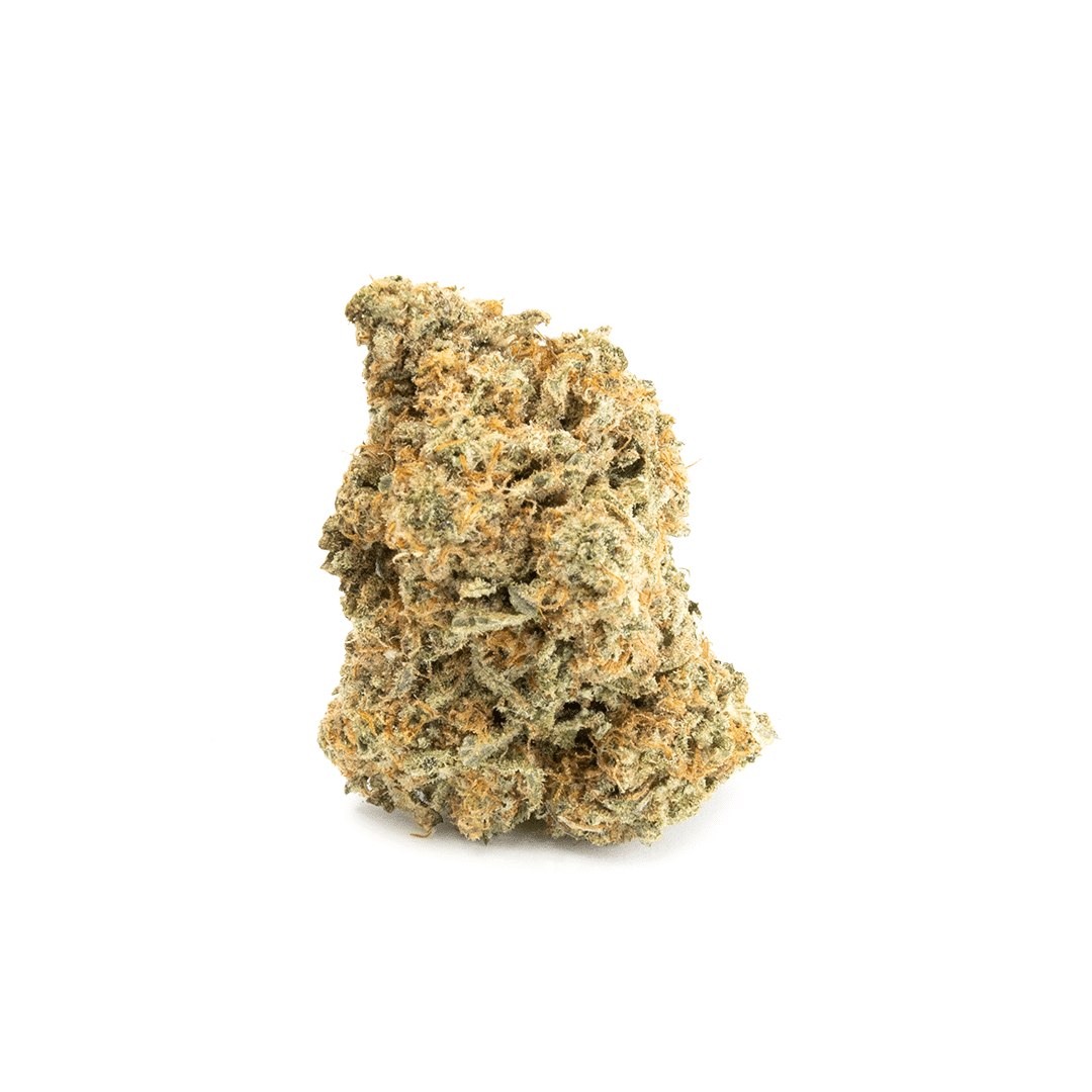 Alien Cookies - Image 2