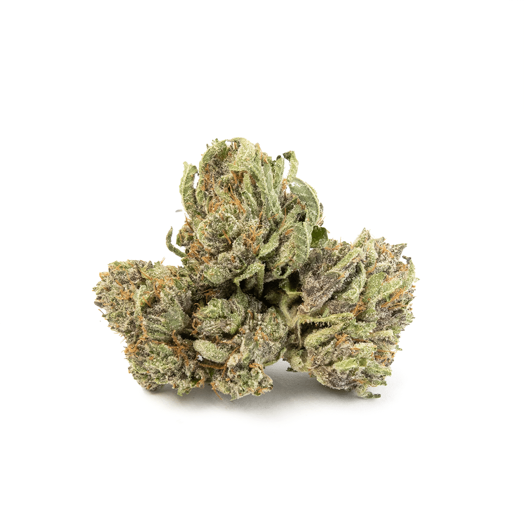 Comatose OG