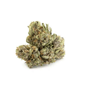 Comatose OG - Image 3