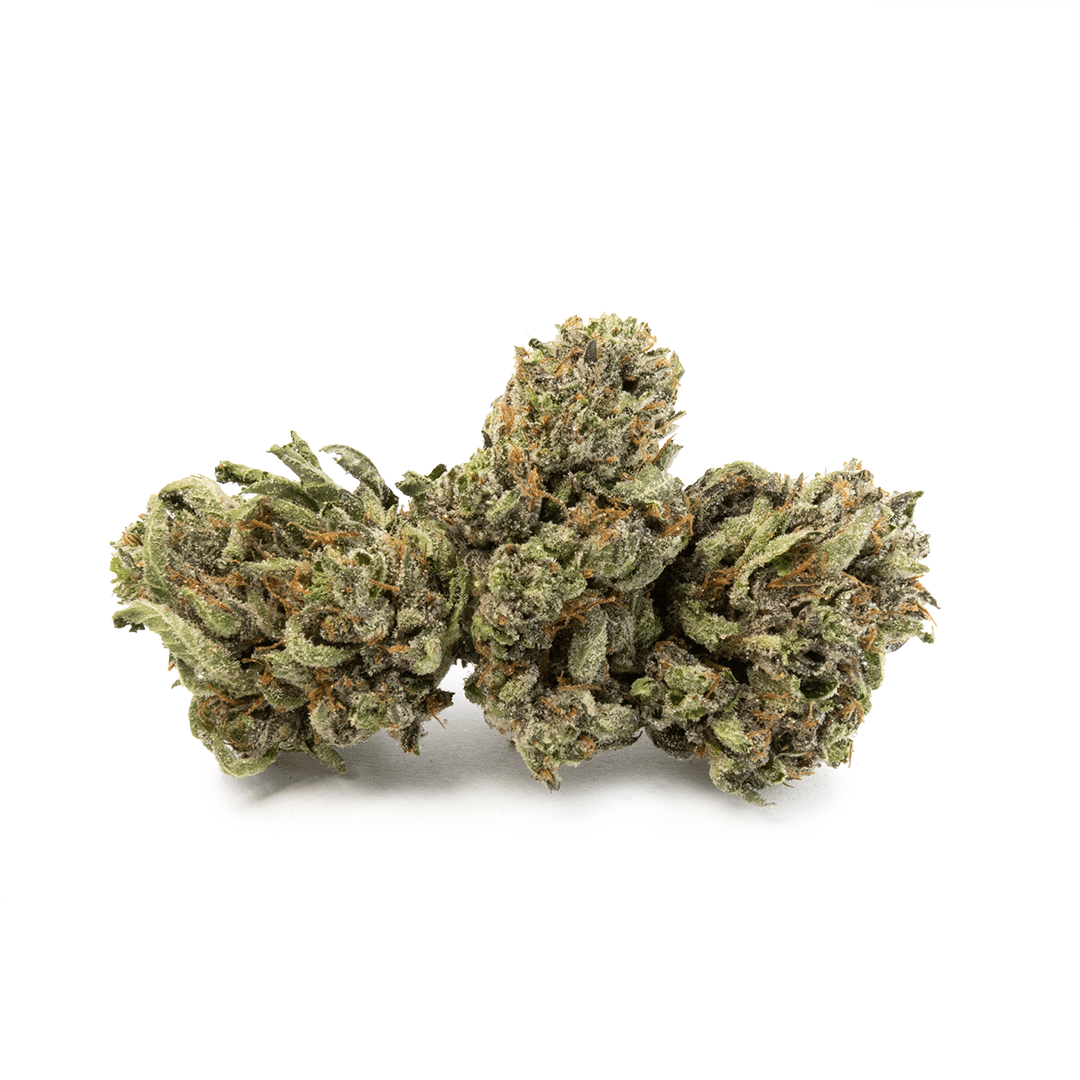 Comatose OG - Image 4