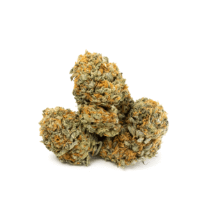 Grapefruit