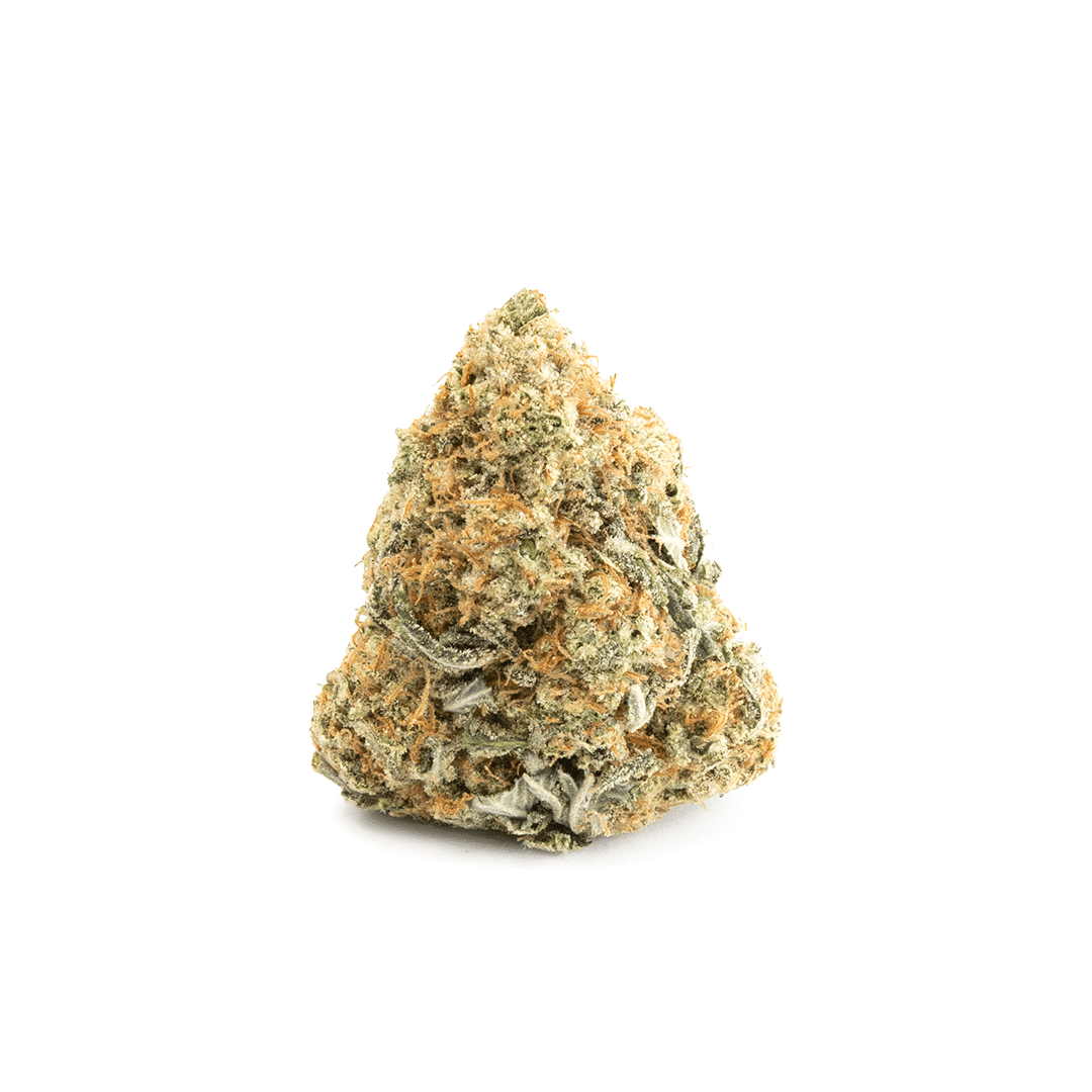 Larry OG - Image 2