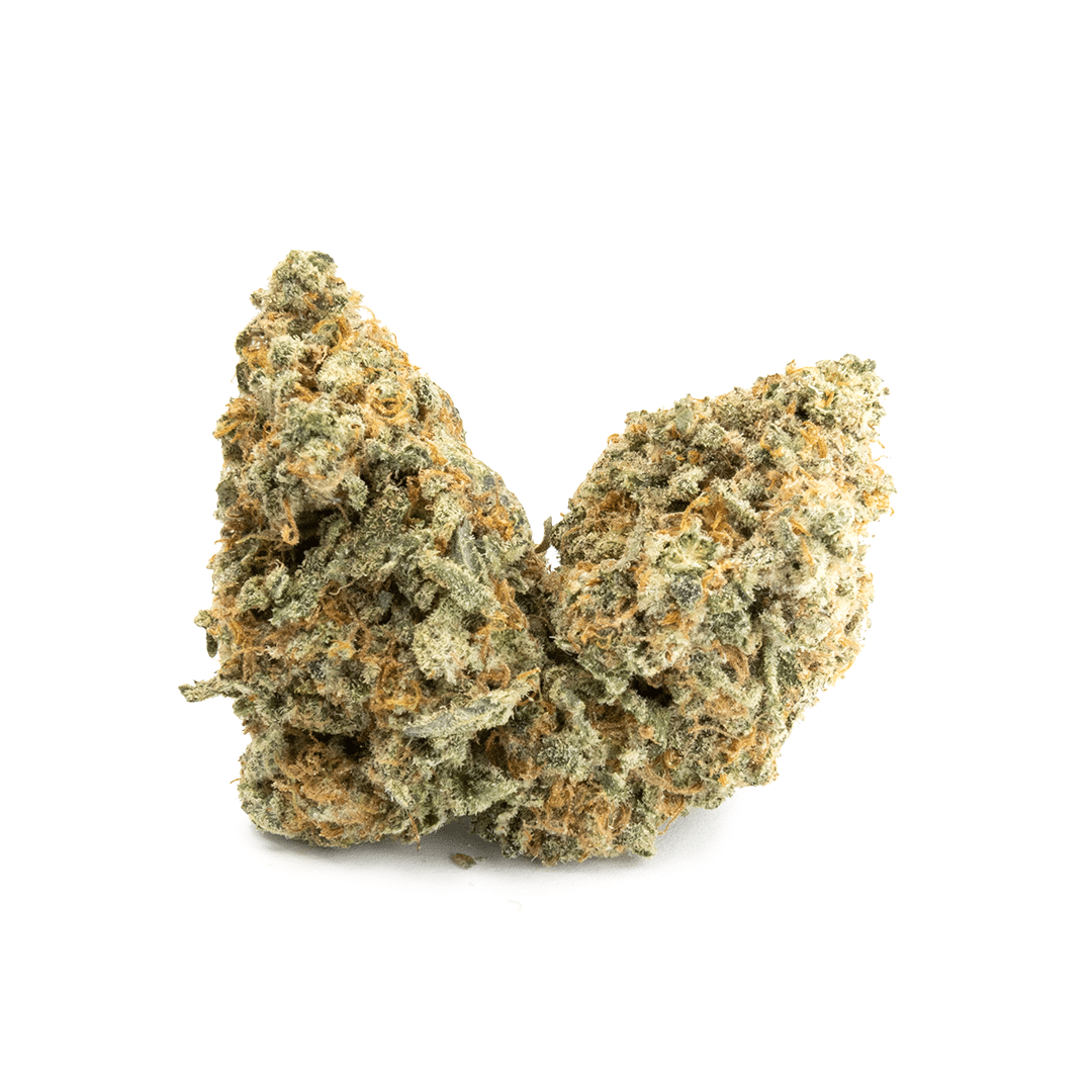 MAC - Image 5