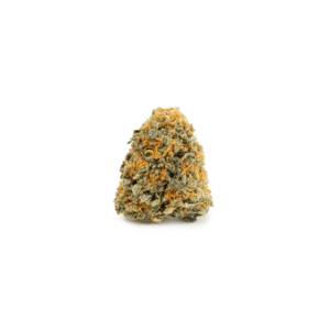 Mimosa - Image 2