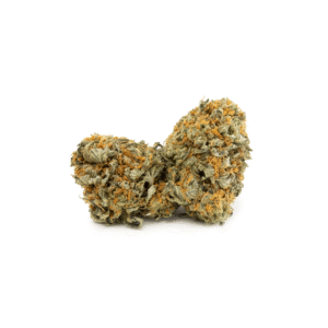 Mimosa - Image 3