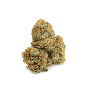 Mimosa - Image 5
