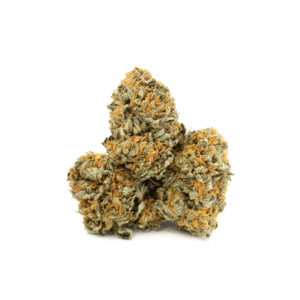 Mimosa