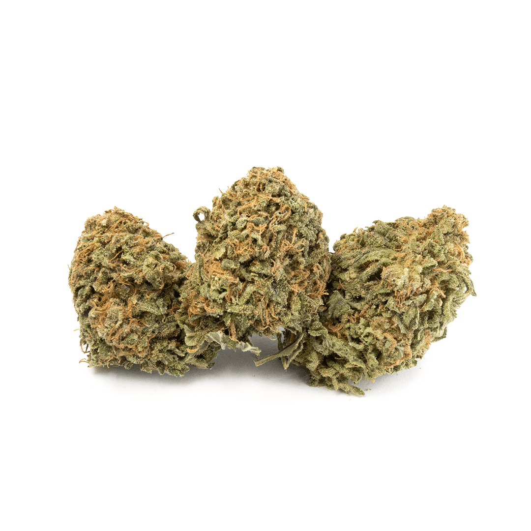 Romulan - Image 5