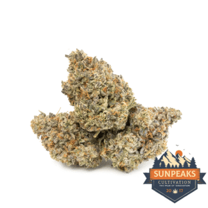 Sun Peaks Cultivation - Biscotti