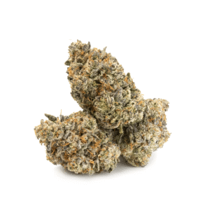 Sun Peaks Cultivation - Biscotti - Image 3