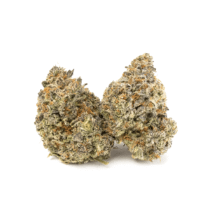 Sun Peaks Cultivation - Biscotti - Image 4