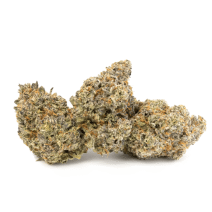 Sun Peaks Cultivation - Biscotti - Image 5