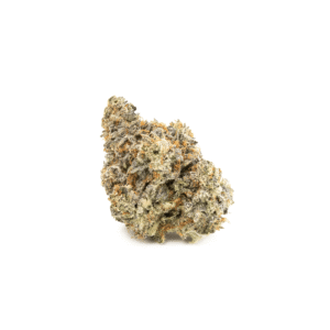 Sun Peaks Cultivation - Biscotti - Image 2
